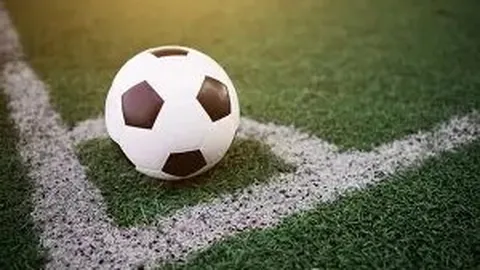 全国春季游泳锦标赛第五日精彩集锦