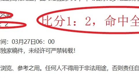 索尔洛特获西蒙尼力挺成锋线新宠，评估菲利克斯表现依战绩而定